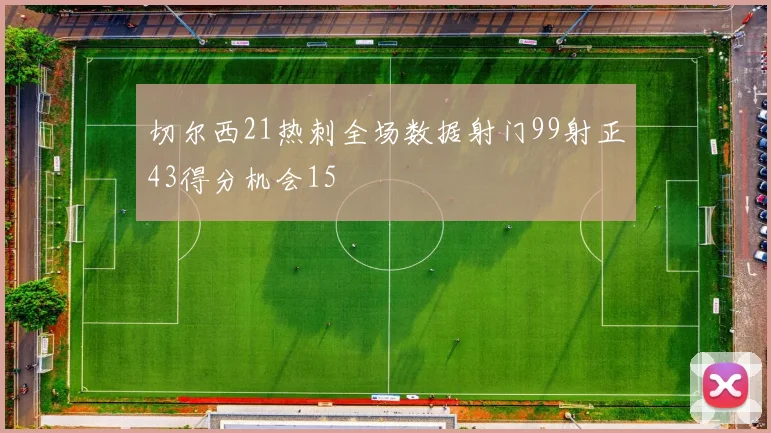 切尔西21热刺全场数据射门99射正43得分机会15