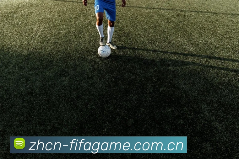 FIFA 官方数据授权认证